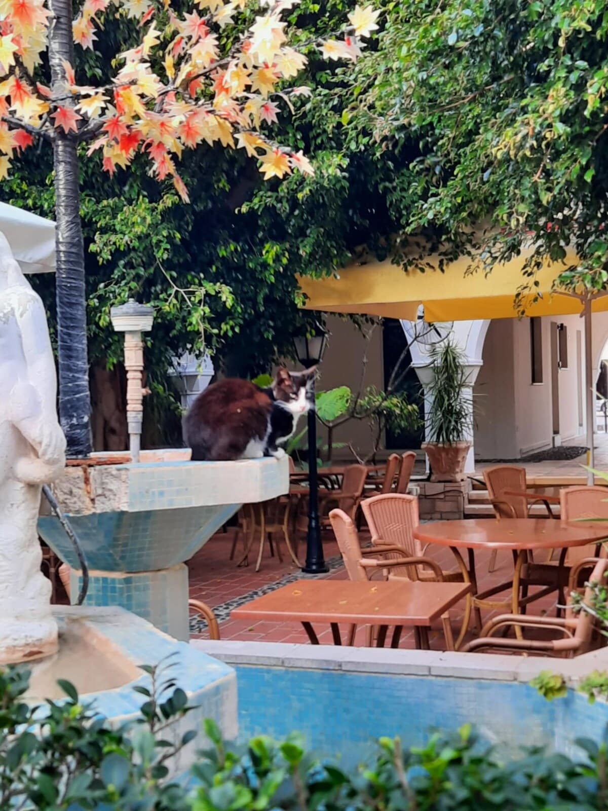 Κήπος στο Niki Breeze Elite Beach Suite
